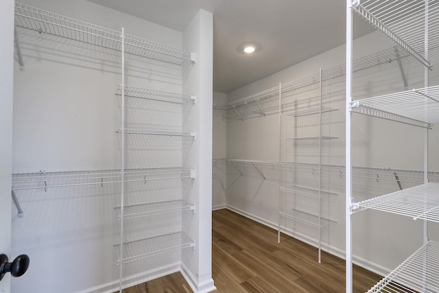 walk in closet with hardwood / wood-style flooring