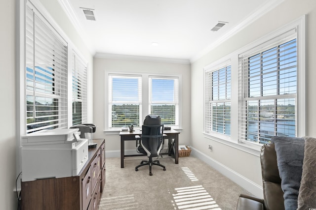 carpeted office space featuring crown molding