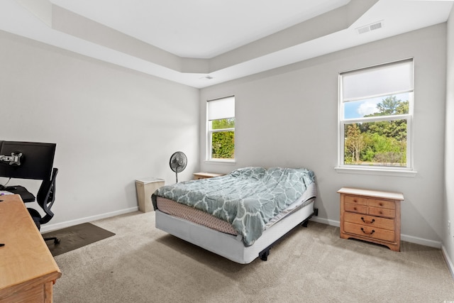 bedroom featuring light colored carpet and a raised ceiling