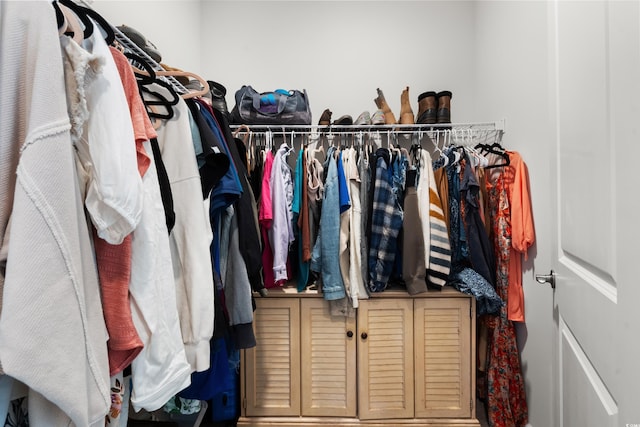 view of walk in closet