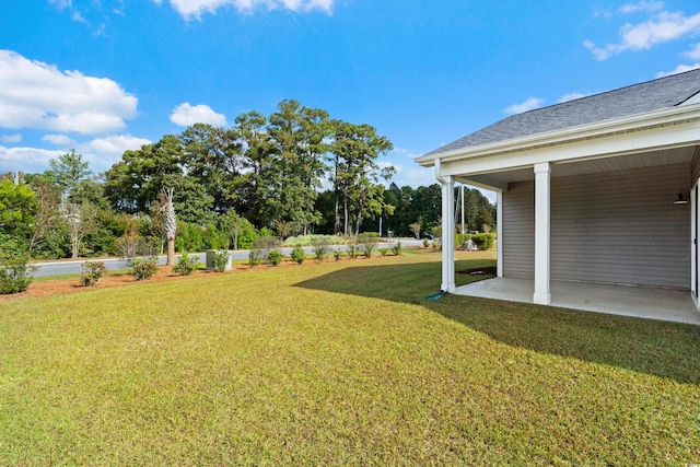 view of yard featuring a patio area