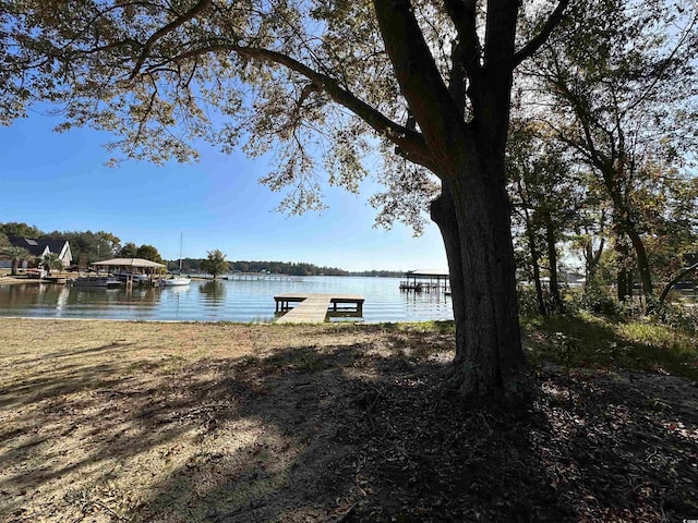 Listing photo 2 for TBD White Oak Dr, Manning SC 29102