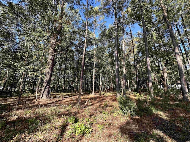 TBD White Oak Dr, Manning, SC 29102