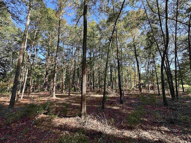 TBD White Oak Dr, Manning, SC 29102