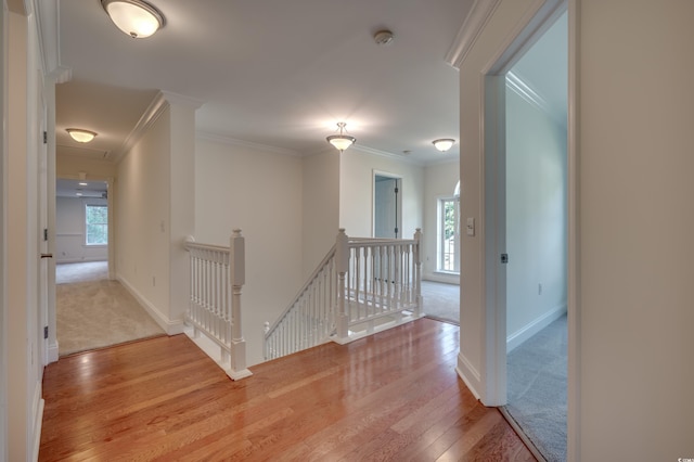 hallway with hardwood / wood-style flooring and ornamental molding