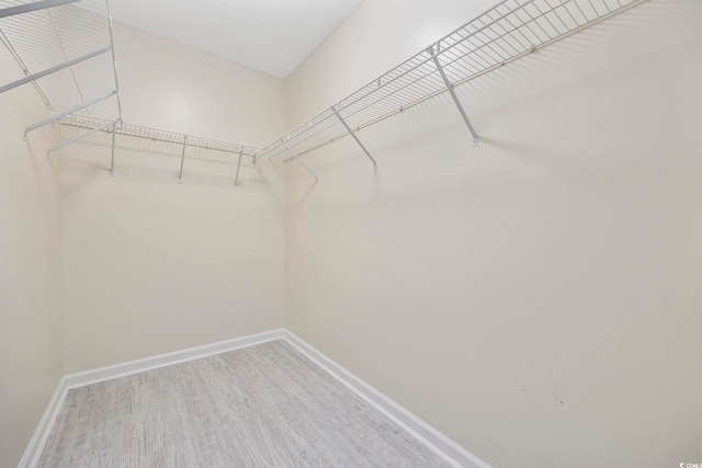 walk in closet featuring wood-type flooring