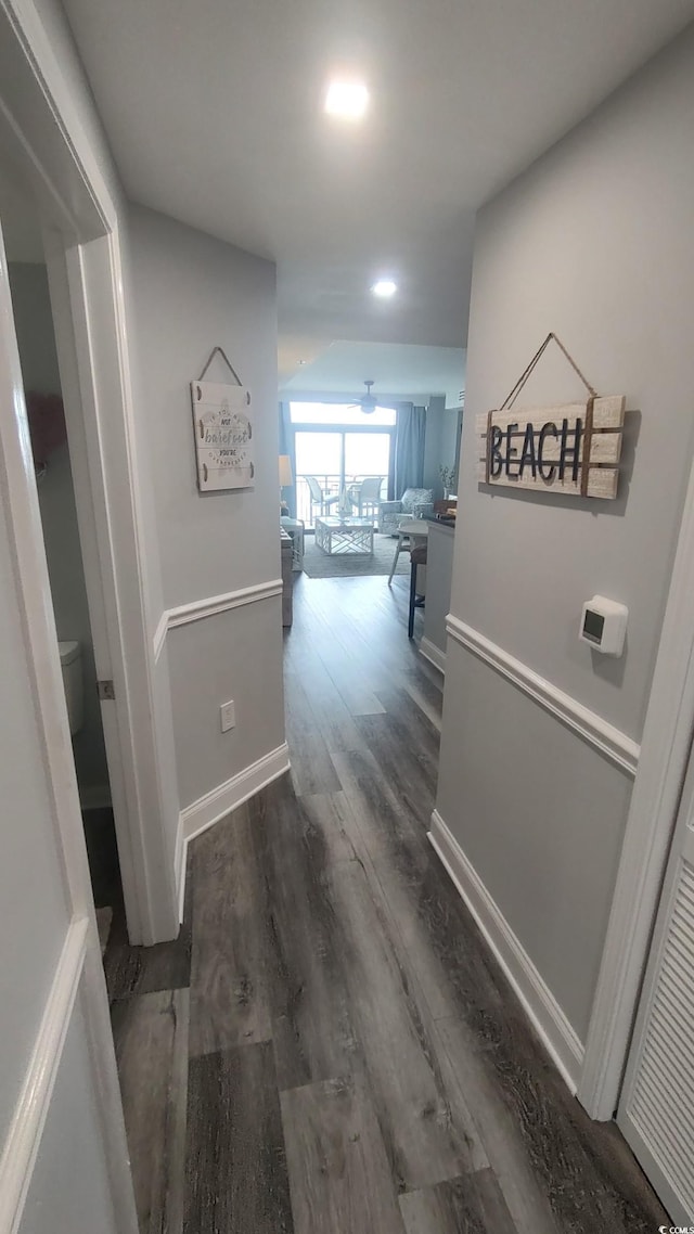 hallway with dark hardwood / wood-style flooring