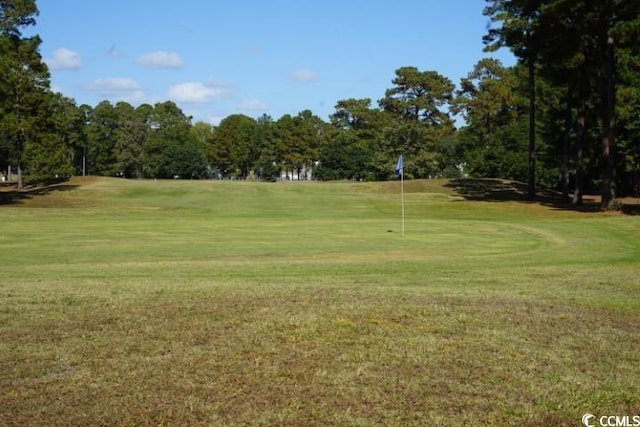 surrounding community featuring a yard