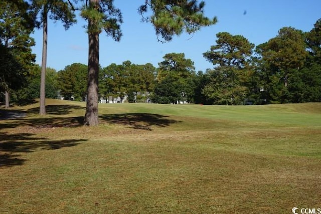 view of home's community with a lawn