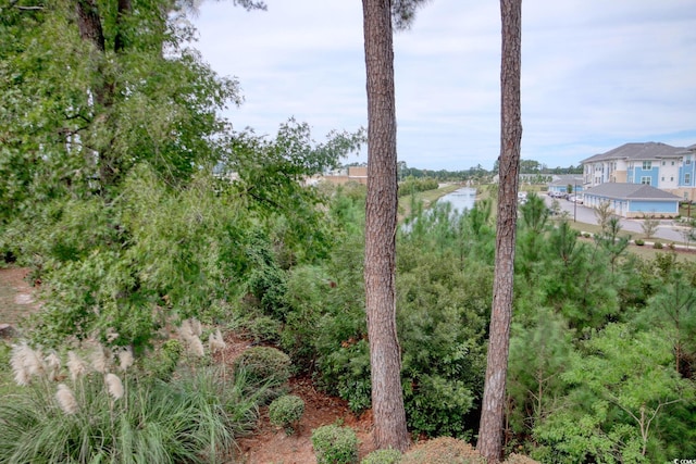 4337 Spa Dr Unit 1309, Little River, SC 29566 - water view