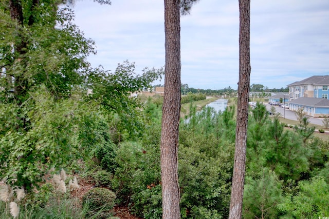 4337 Spa Dr Unit 1309, Little River, SC 29566 - water view