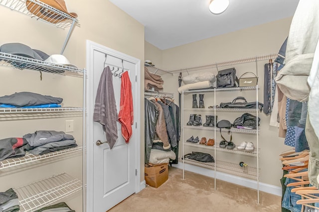 spacious closet featuring light carpet