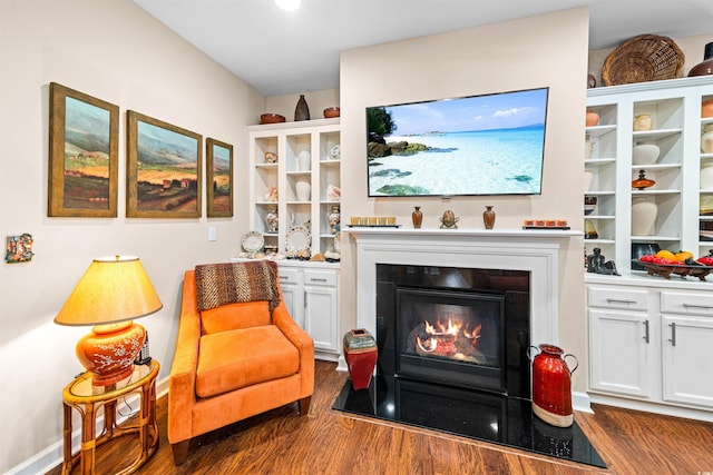 living area featuring dark wood-type flooring