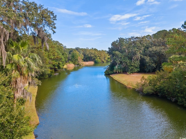 property view of water