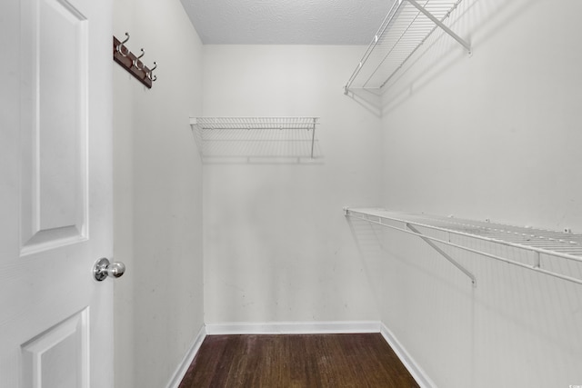 walk in closet featuring dark wood-type flooring