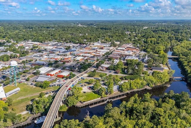 birds eye view of property with a water view and a forest view