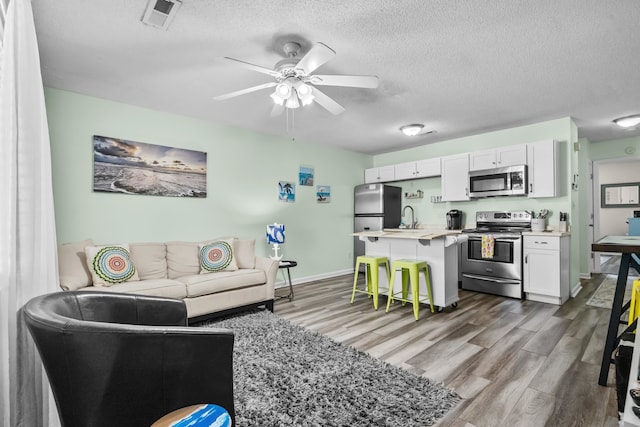 living room with hardwood / wood-style flooring, ceiling fan, a textured ceiling, and sink