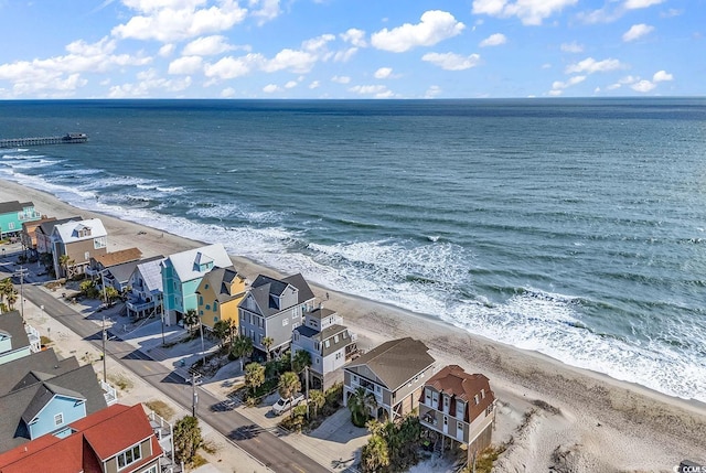 water view featuring a beach view