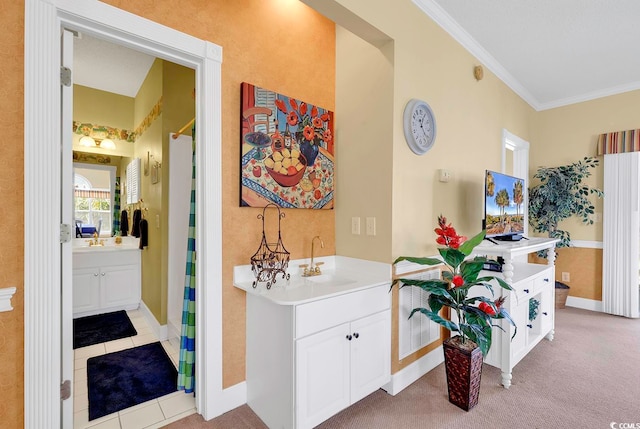 interior space with light colored carpet, sink, and ornamental molding