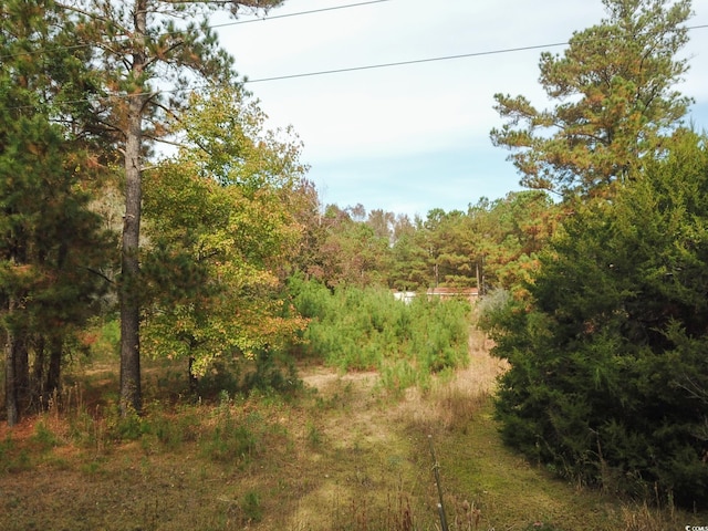 154 Old Wilson Rd, Longs, SC 29568