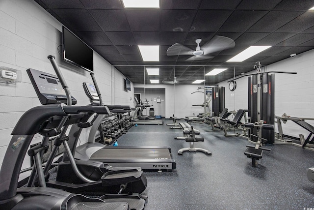 gym featuring ceiling fan and a drop ceiling