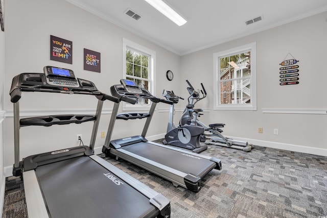 workout area featuring ornamental molding and plenty of natural light