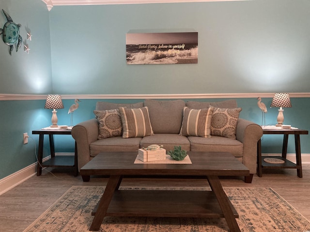 living room featuring ornamental molding and hardwood / wood-style flooring