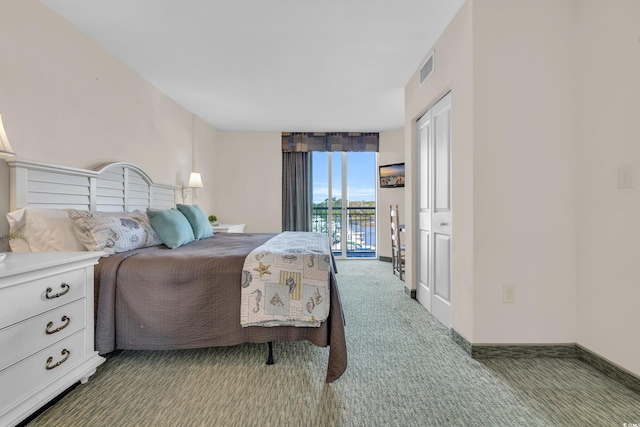 carpeted bedroom featuring a closet