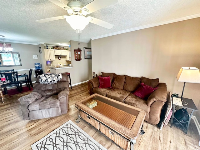 living room with ceiling fan with notable chandelier, light hardwood / wood-style floors, a textured ceiling, and crown molding