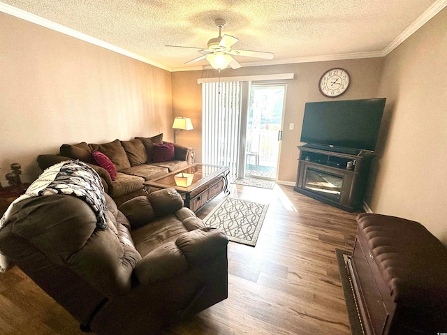 living room featuring hardwood / wood-style flooring, ceiling fan, a textured ceiling, and ornamental molding