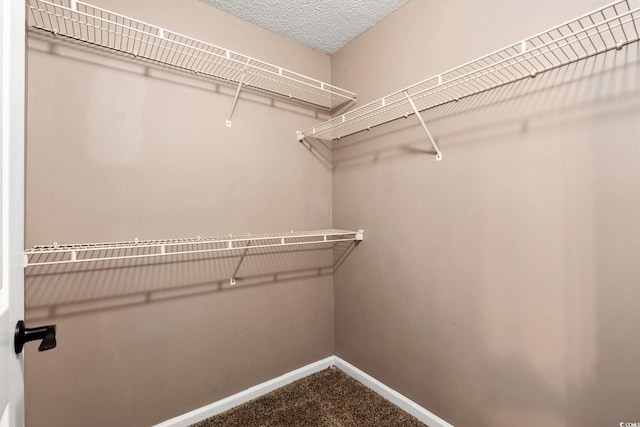 3735 Block House Way Unit 113, Myrtle Beach, SC 29577 - photo 19