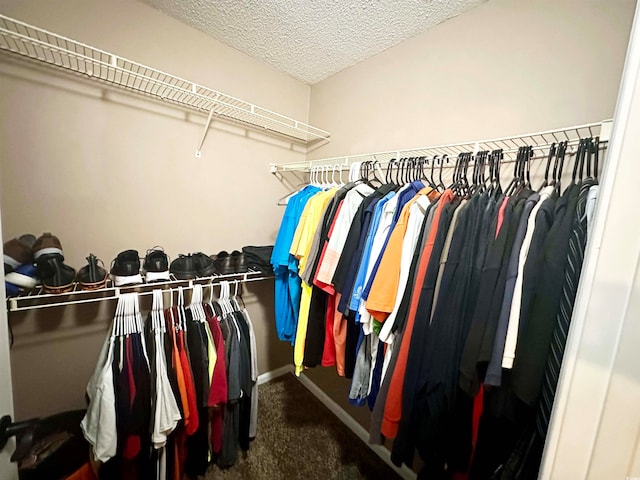 spacious closet with carpet flooring