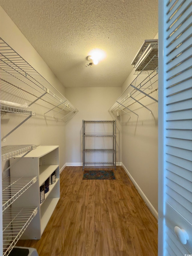 spacious closet with hardwood / wood-style floors