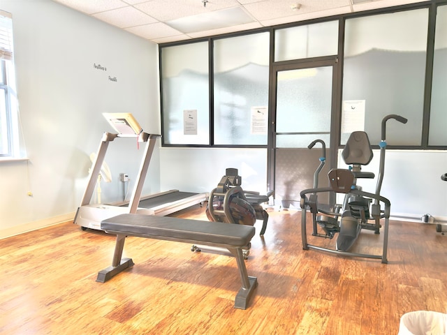 workout area with hardwood / wood-style floors and a paneled ceiling