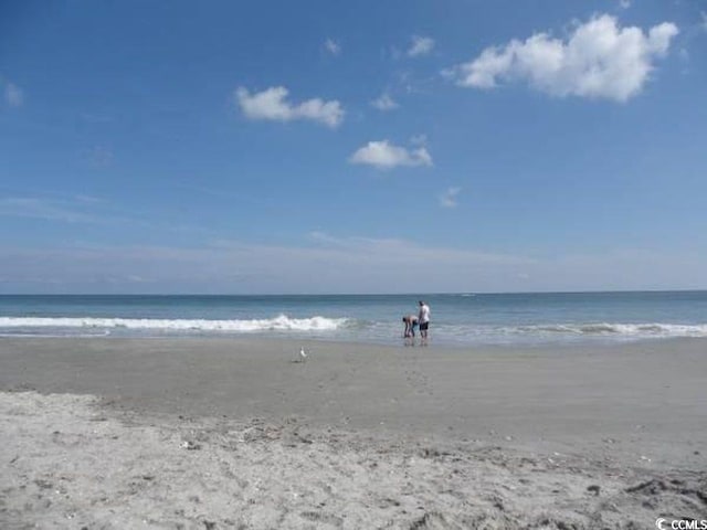 view of water feature with a view of the beach