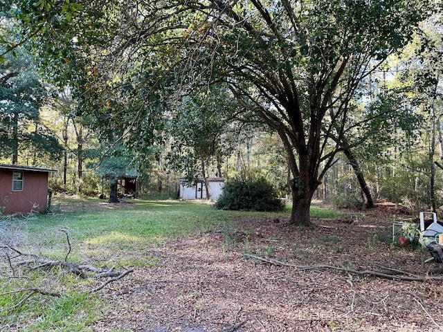 view of yard featuring a shed