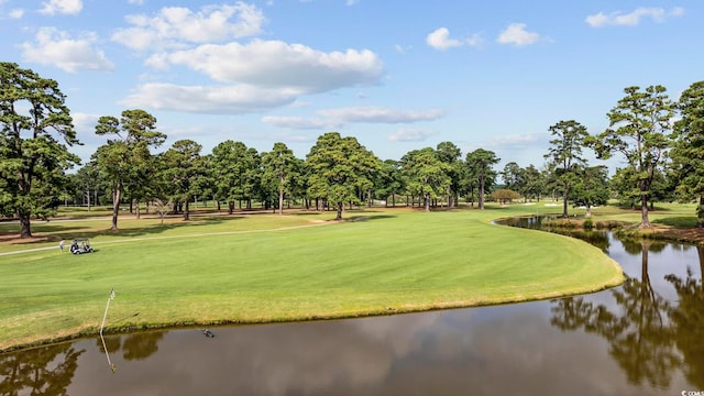 view of community featuring a yard and a water view