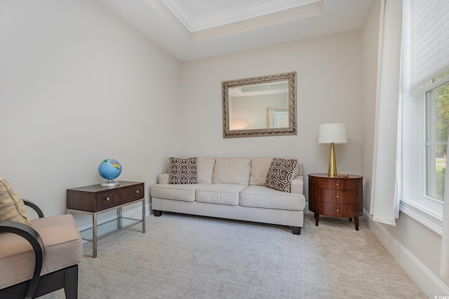 carpeted living room featuring a raised ceiling and ornamental molding