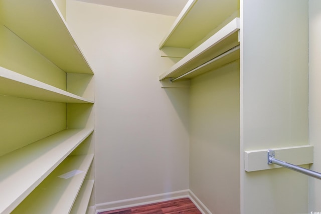 spacious closet featuring wood-type flooring