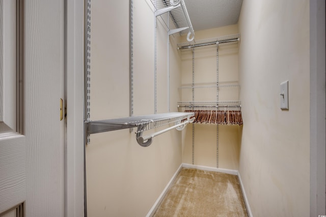 spacious closet featuring light colored carpet