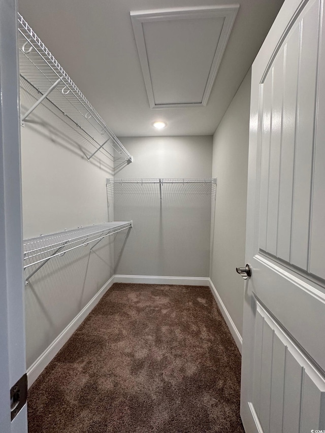 spacious closet featuring dark colored carpet