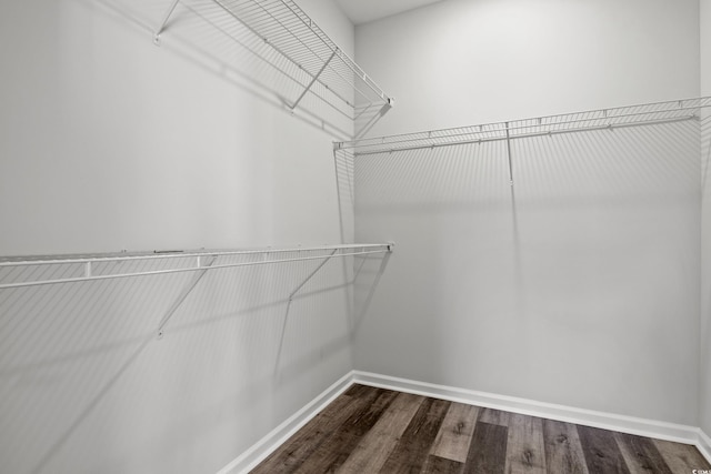 spacious closet featuring hardwood / wood-style floors