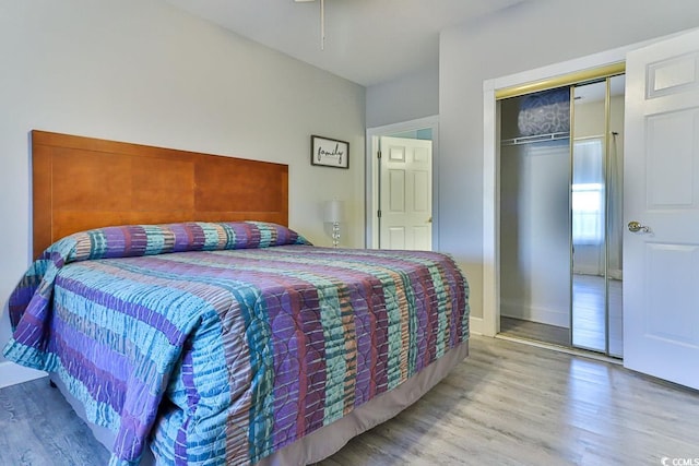 bedroom featuring a closet and hardwood / wood-style floors