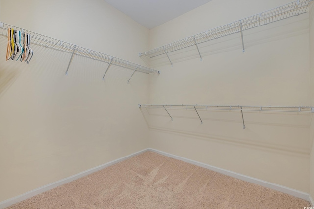 spacious closet featuring carpet floors