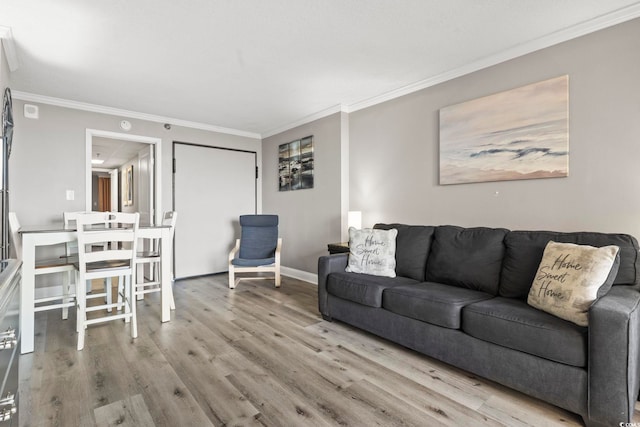 living room featuring ornamental molding and light wood-type flooring