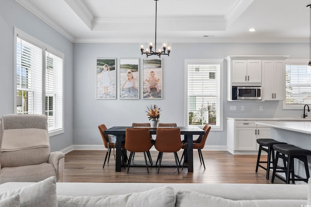 dining space featuring dark wood finished floors, a healthy amount of sunlight, and a tray ceiling