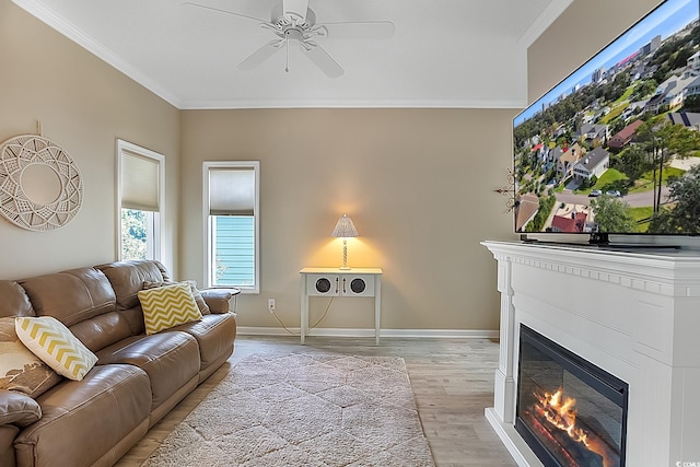 living room with light wood-type flooring, ceiling fan, and ornamental molding