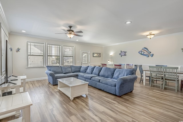 living room featuring ceiling fan, ornamental molding, and light wood-type flooring