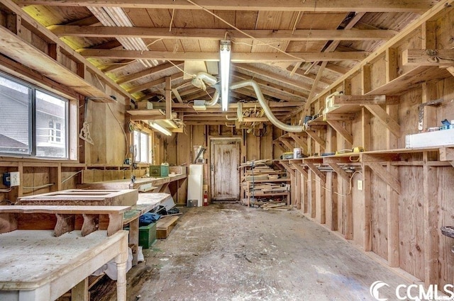 miscellaneous room featuring vaulted ceiling