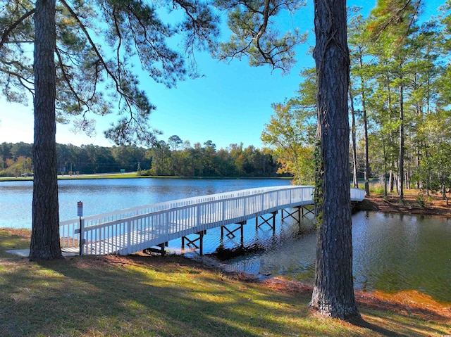 dock area with a water view